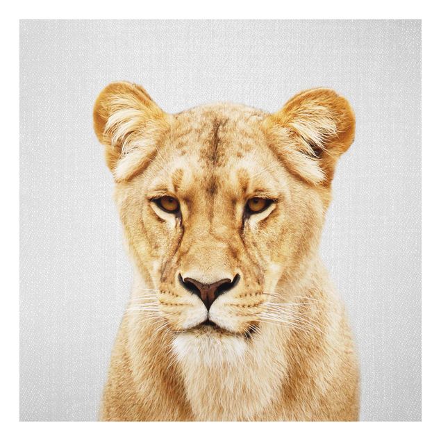Obrazy na szkle zwierzęta Lioness Lisa