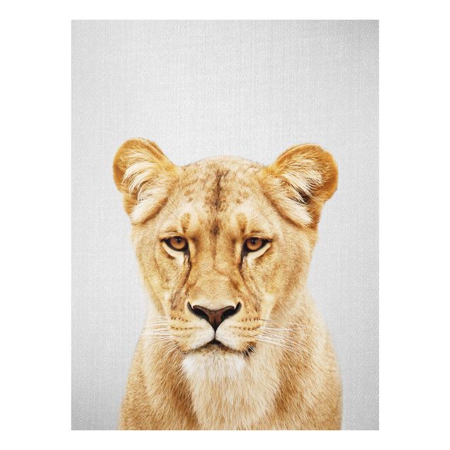 Obrazy na szkle zwierzęta Lioness Lisa