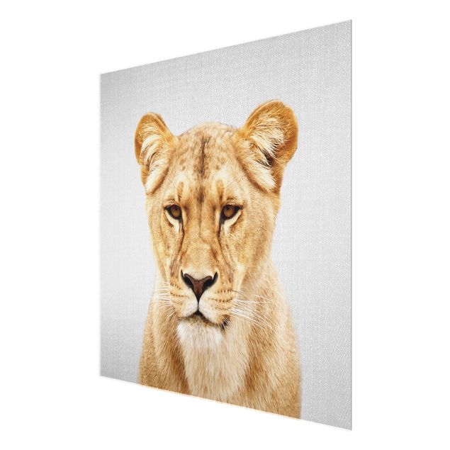 Obrazy nowoczesne Lioness Lisa