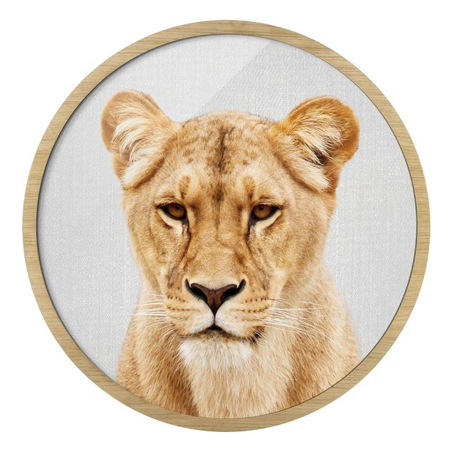 Obrazy lew Lioness Lisa