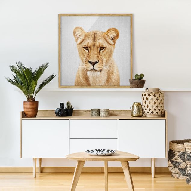 Obraz lwa Lioness Lisa