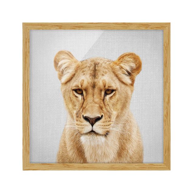 Obrazy w ramie zwierzęta Lioness Lisa