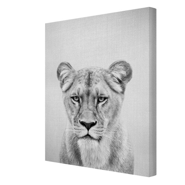 Obrazy Afryka Lioness Lisa Black And White