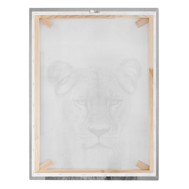 Obraz kota na płótnie Lioness Lisa Black And White