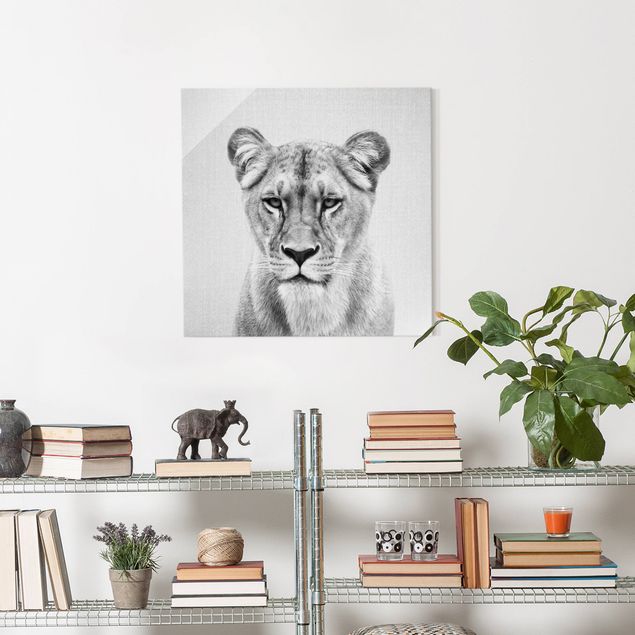 Obrazy do salonu nowoczesne Lioness Lisa Black And White