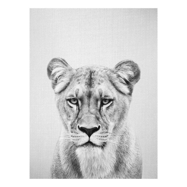 Obrazy na szkle zwierzęta Lioness Lisa Black And White