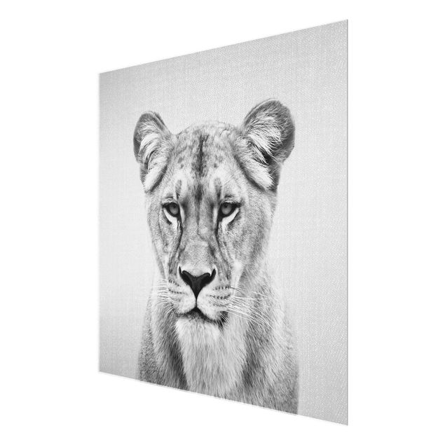 Nowoczesne obrazy Lioness Lisa Black And White