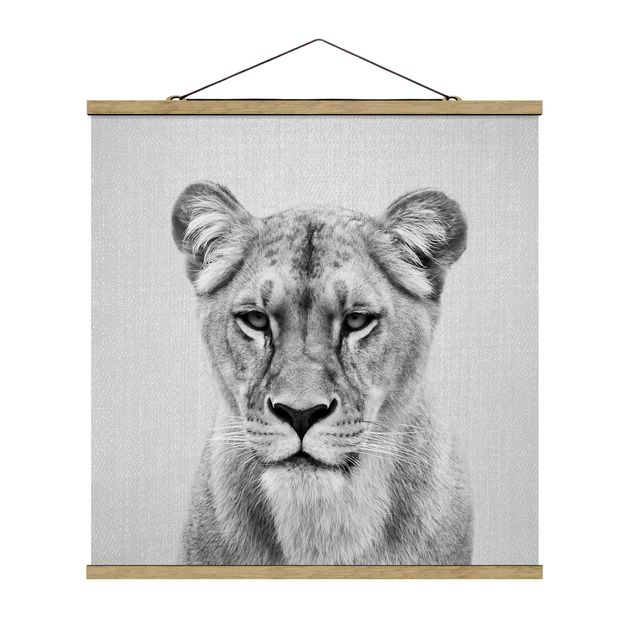 Obrazy ze zwierzętami Lioness Lisa Black And White
