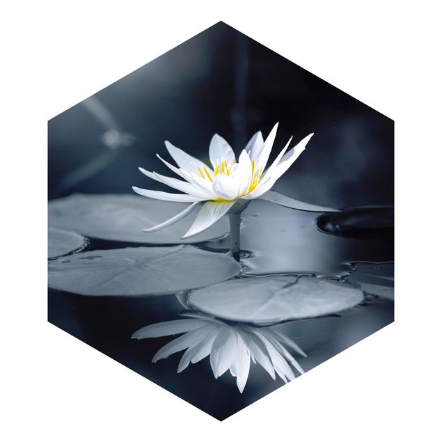 Fototapeta Odbicie lotosu w wodzie