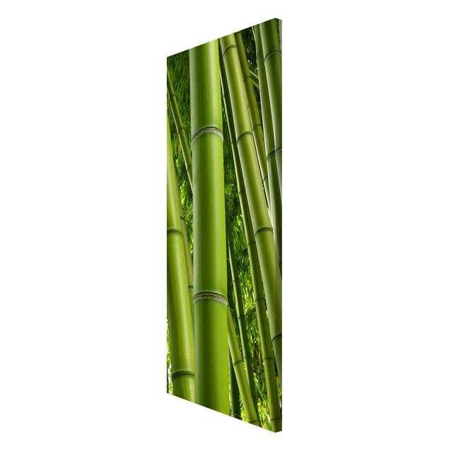 Obrazy nowoczesny Drzewa bambusowe