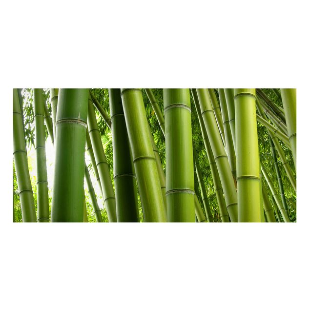 Nowoczesne obrazy do salonu Drzewa bambusowe