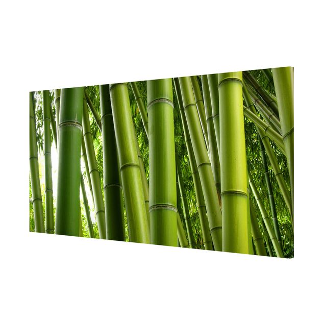 Obrazy nowoczesny Drzewa bambusowe