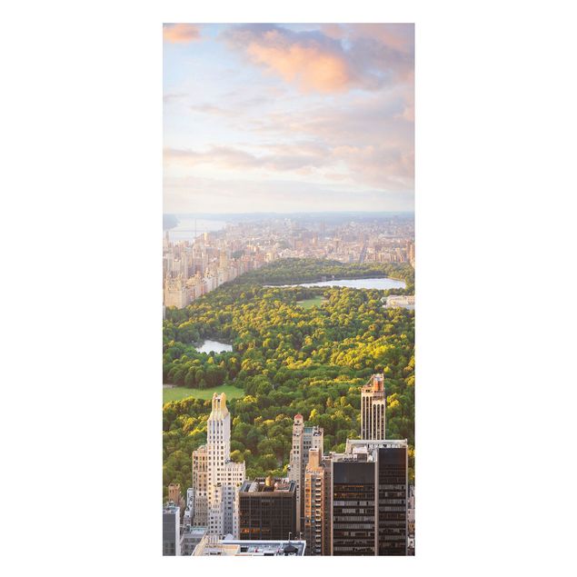 Nowoczesne obrazy do salonu Widok na Central Park