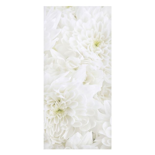 Obrazy do salonu Dahlie Morze kwiatów białe