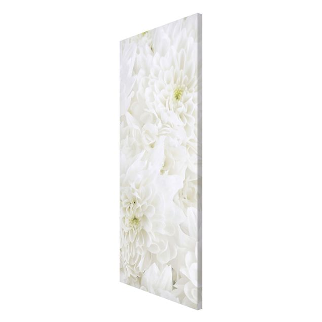 Obrazy nowoczesne Dahlie Morze kwiatów białe