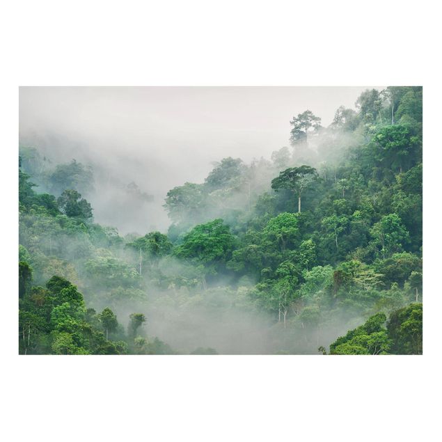 Obrazy do salonu nowoczesne Dżungla we mgle