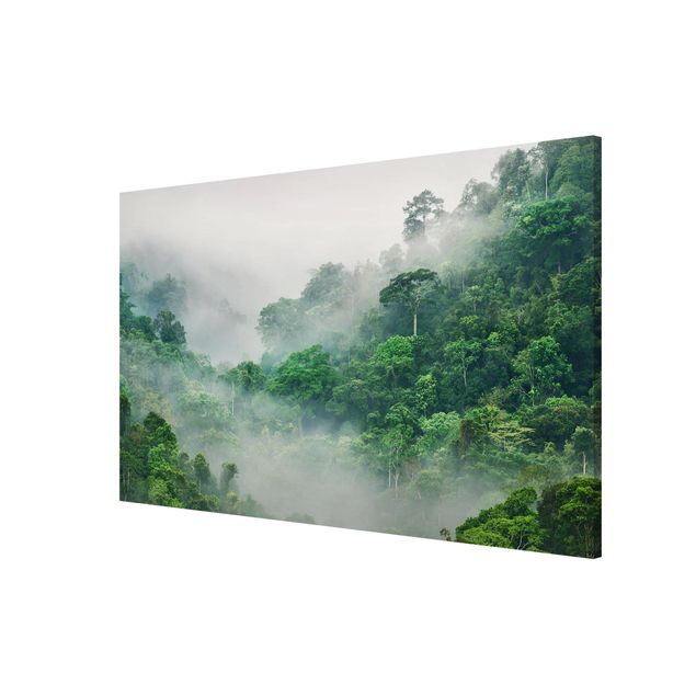 Nowoczesne obrazy Dżungla we mgle