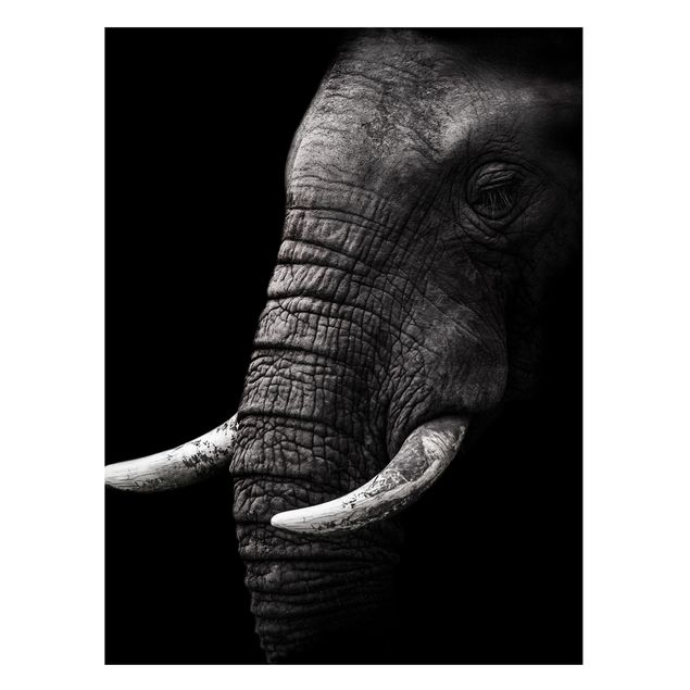 Obrazy do salonu nowoczesne Portret ciemnego słonia