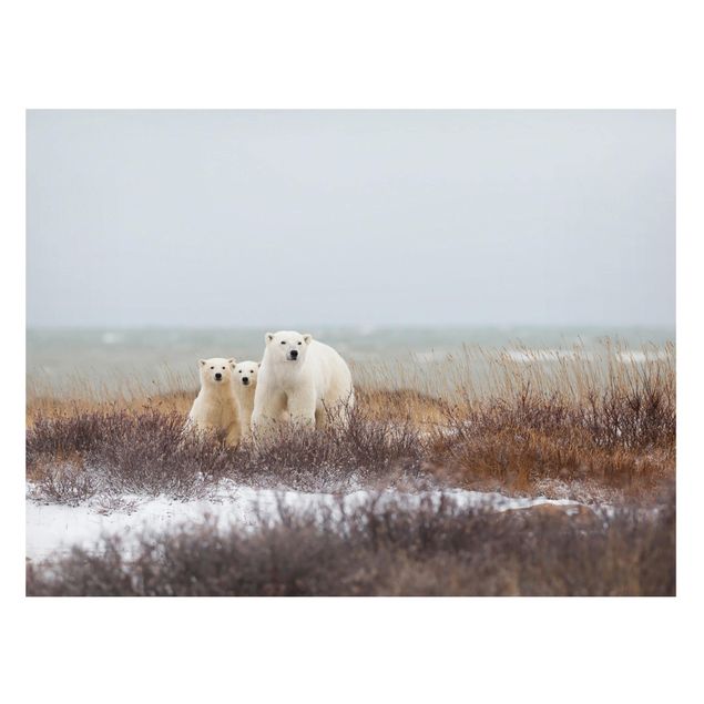 Dekoracja do kuchni Niedźwiedzica polarna i jej młode