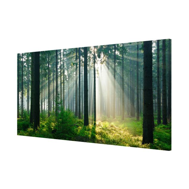 Obrazy nowoczesne Świetlany las