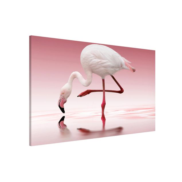 Dekoracja do kuchni Taniec flamingów