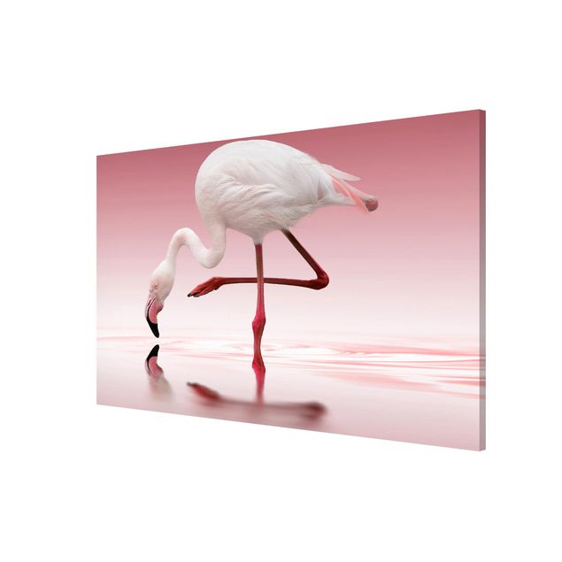 Obrazy nowoczesne Taniec flamingów