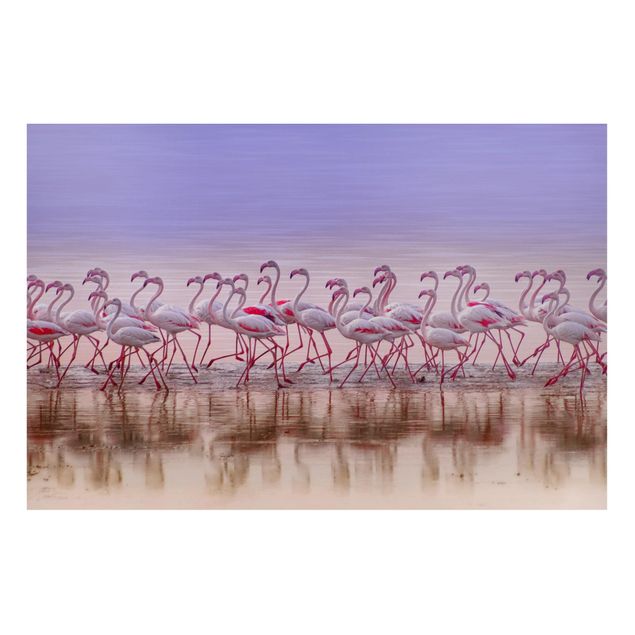 Obrazy do salonu nowoczesne Przyjęcie pod Flamingo