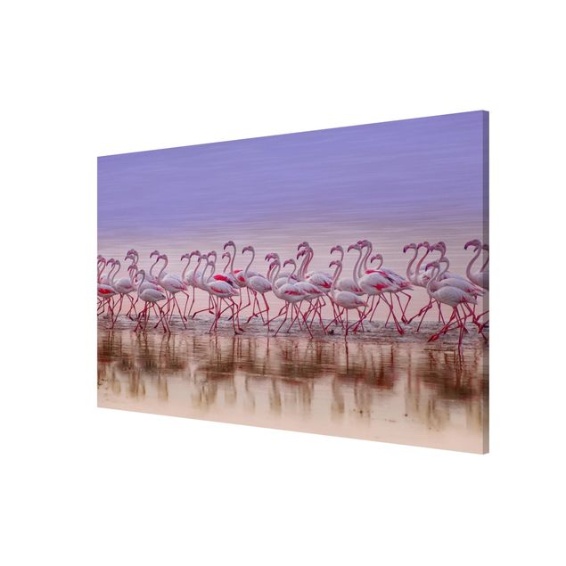 Nowoczesne obrazy Przyjęcie pod Flamingo
