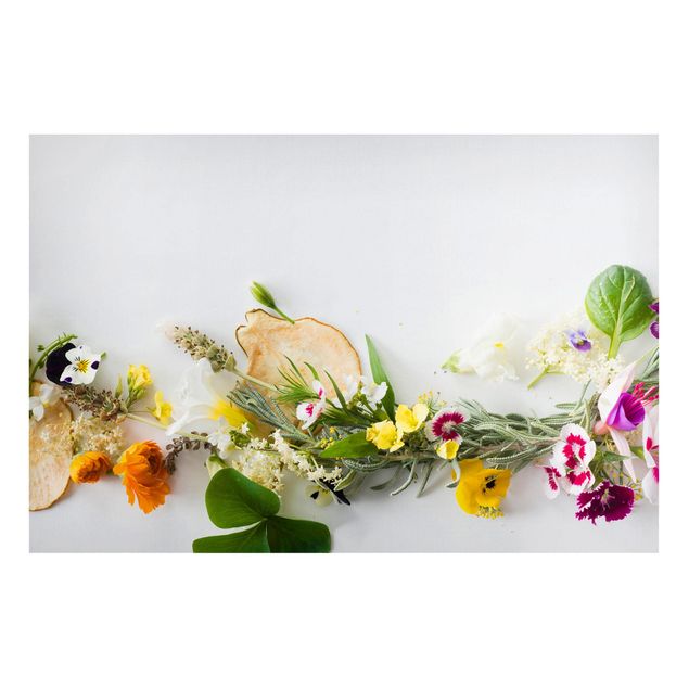Nowoczesne obrazy Świeże zioła z jadalnymi kwiatami