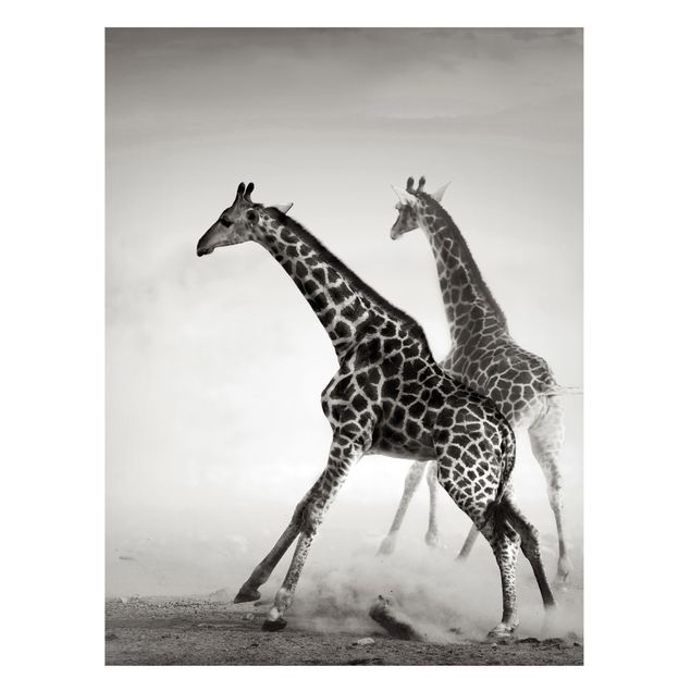 Obrazy do salonu nowoczesne Polowanie na żyrafę