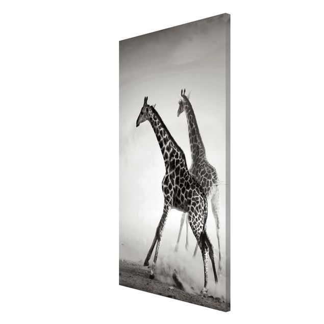 Nowoczesne obrazy Polowanie na żyrafę