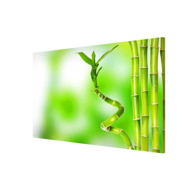 Obrazy nowoczesny Zielony bambus