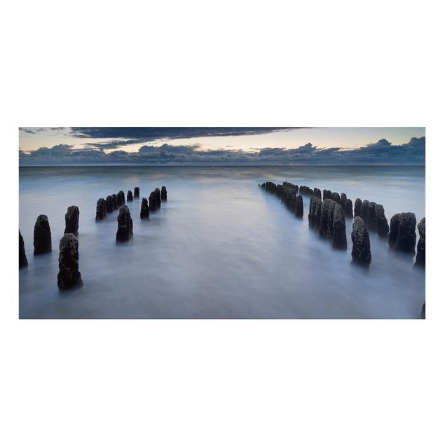 Obrazy krajobraz Drewniane groty na Morzu Północnym na wyspie Sylt