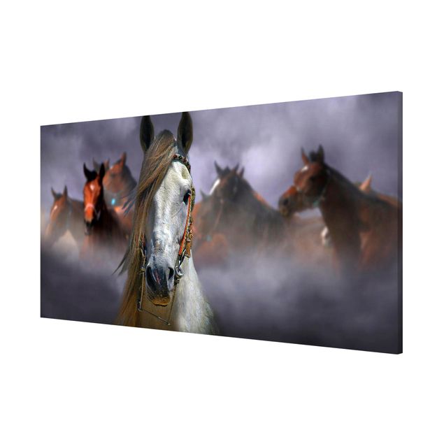 Obrazy nowoczesne Konie w kurzu
