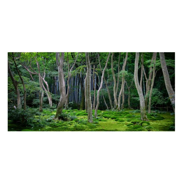 Obrazy do salonu nowoczesne Las japoński