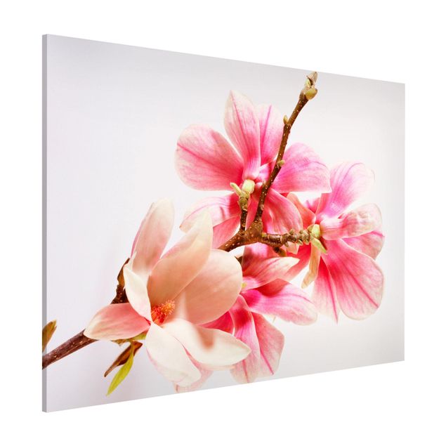 Dekoracja do kuchni Kwiaty magnolii