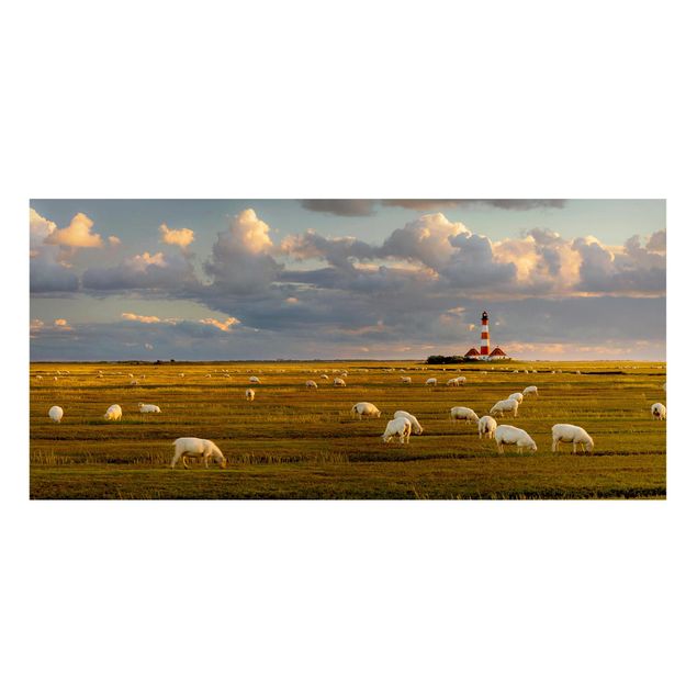 Obrazy do salonu Latarnia morska na Morzu Północnym ze stadem owiec