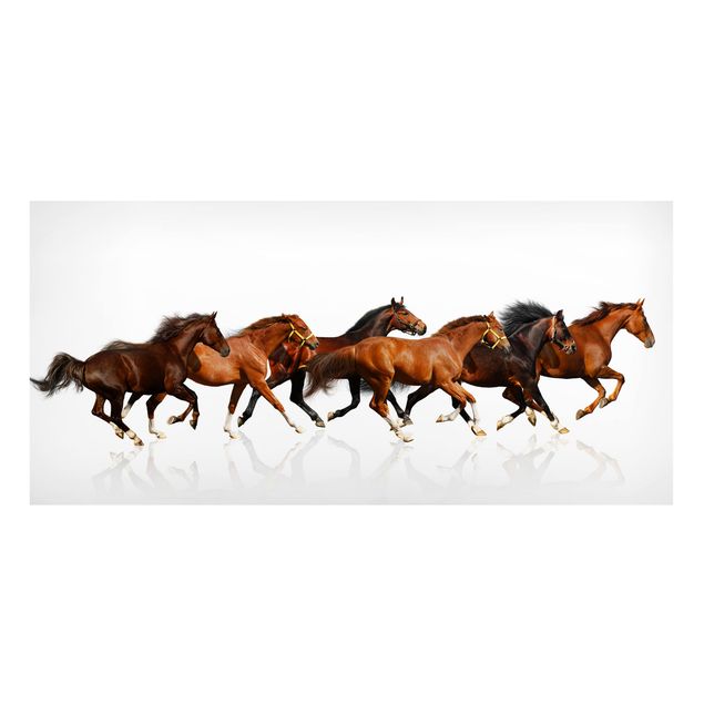 Obrazy nowoczesny Stado koni