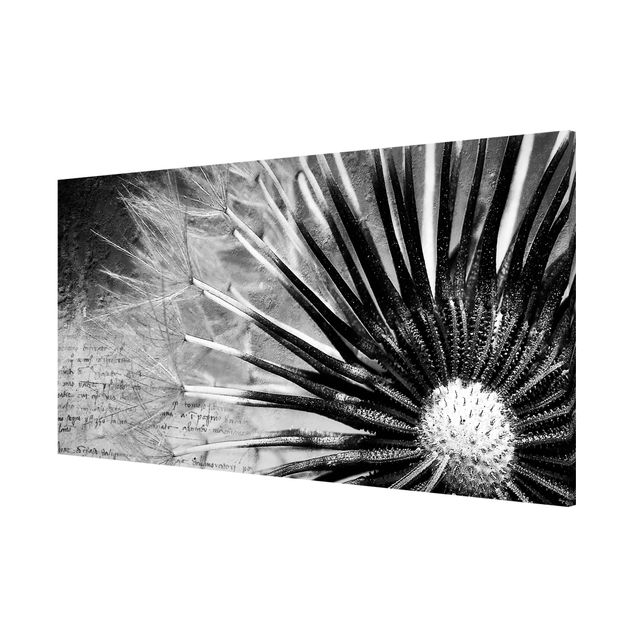 Obrazy nowoczesne Dandelion czarno-biały