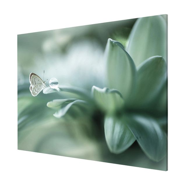 Obrazy nowoczesny Motyl i krople rosy w pastelowej zieleni