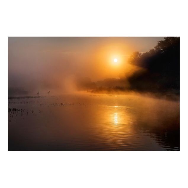 Nowoczesne obrazy do salonu Wschód słońca nad jeziorem z jeleniami we mgle