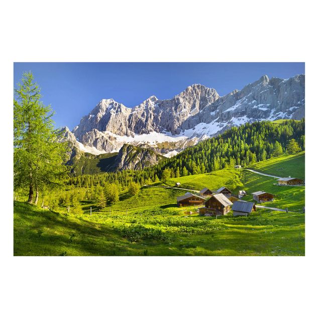 Obrazy do salonu nowoczesne Styria Alpejska łąka
