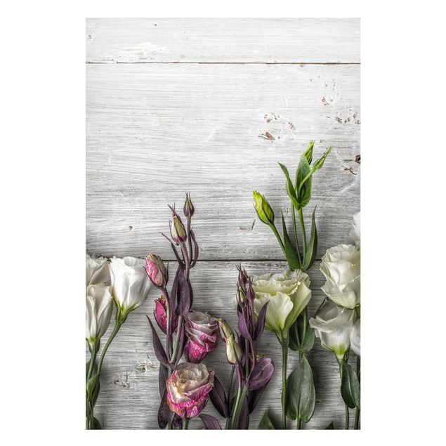 Obrazy do salonu nowoczesne Tulipanowa róża Shabby Wood Look