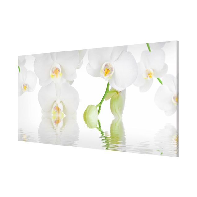 Obrazy do salonu Orchidea Wellness Orchidea