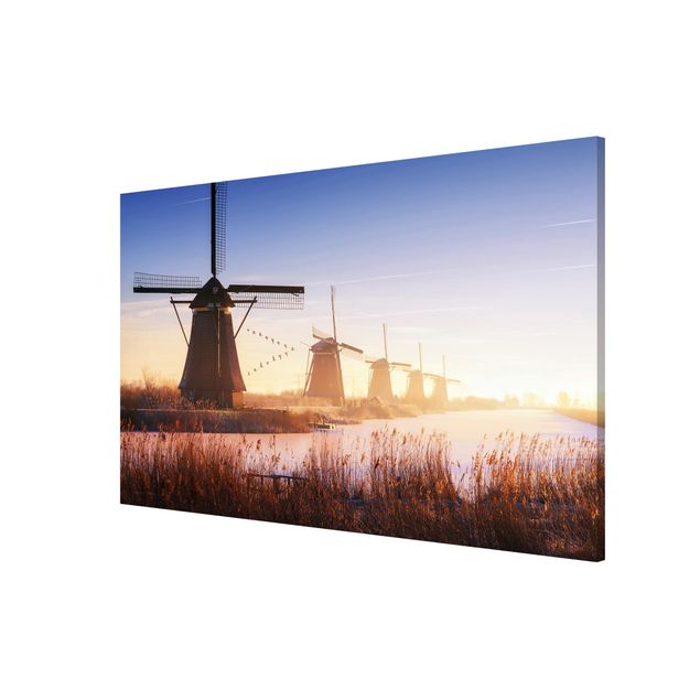 Obrazy natura Wiatraki w Kinderdijk