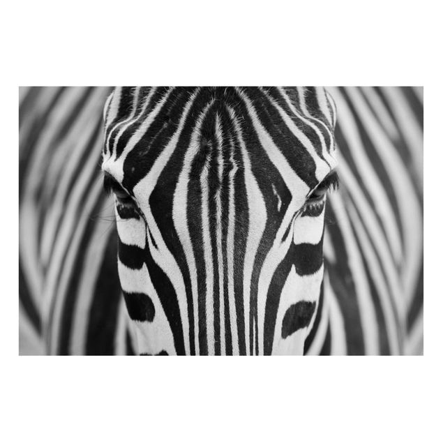 Obrazy do salonu nowoczesne Zebra Look