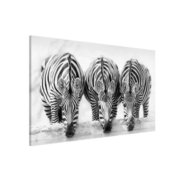 Dekoracja do kuchni Zebra Trio czarno-biała