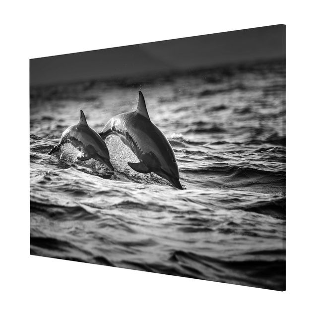 Obrazy nowoczesny Dwa skaczące delfiny