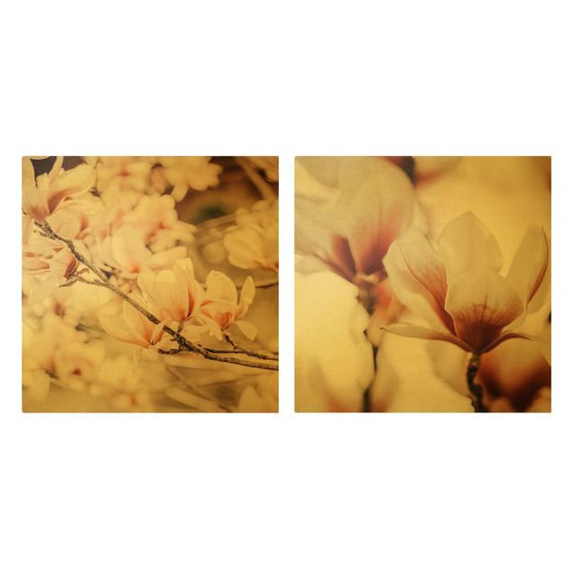 Obrazy drukowane na płótnie Zestaw kwiatowy magnolii