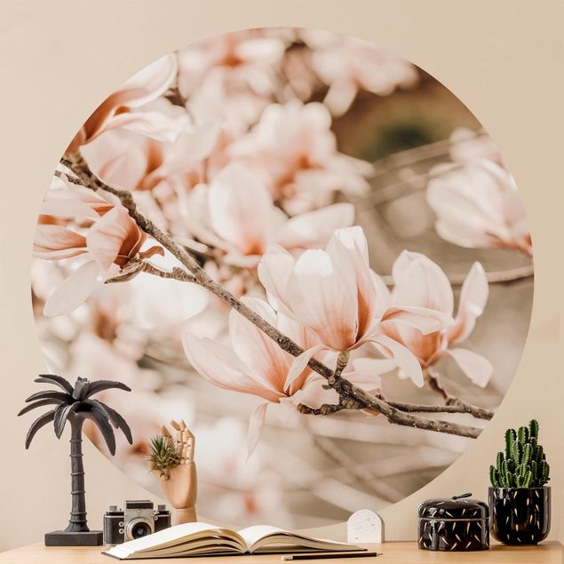 Brązowa tapeta Gałązki magnolii w stylu vintage